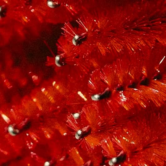 The Brow Ritual (Deluxe) at Grow Getter Waxing in Portland, OR